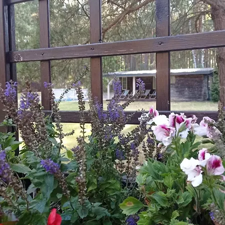 Radunska Ostoja Dom wakacyjny