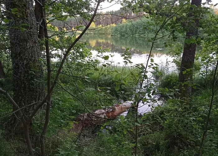 Radunska Ostoja Dziemiany